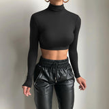 Fall Women Clothing Sexy Slim Fit Short Bottoming Long Sleeved Turtleneck Top