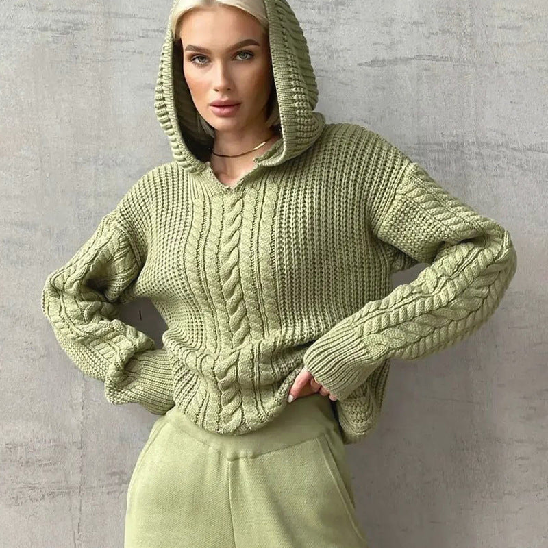 Frauen Kleidung Herbst Street Shooting Kapuzen Langarm Strickpullover